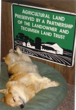 Willie is very happy and content to live on a preserved property. He thanks you for your support of Tecumseh Land Trust.