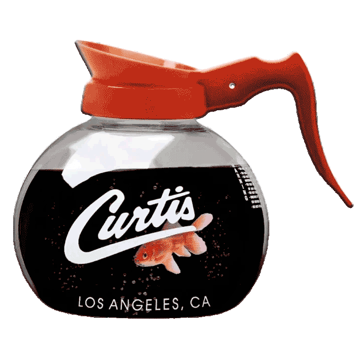 Curtis Petraglia