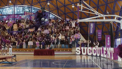 A bold new flavor launch built around innovation momentum and Peppermania.