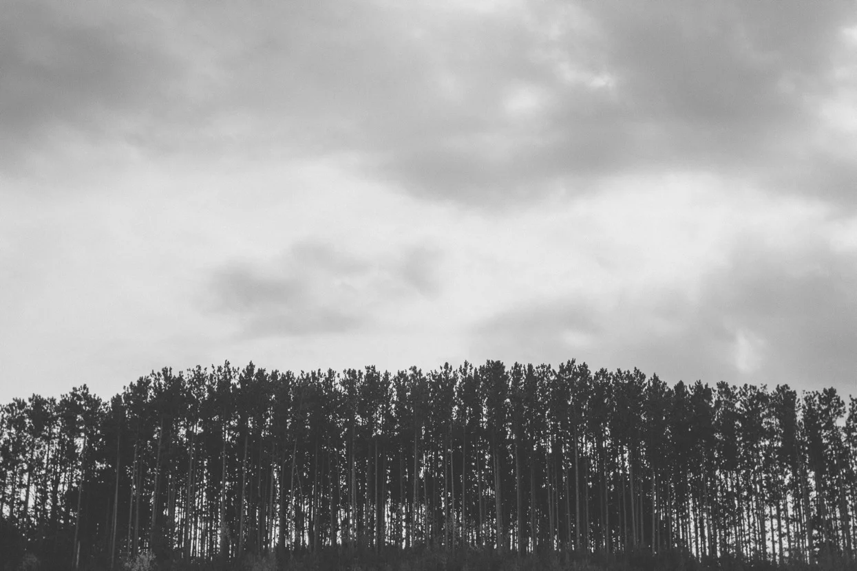 IMG_5781.jpeg