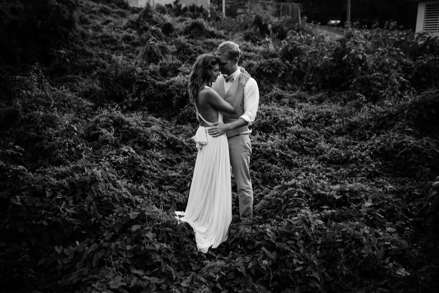 destination wedding photographer Vieques Puerto Rico