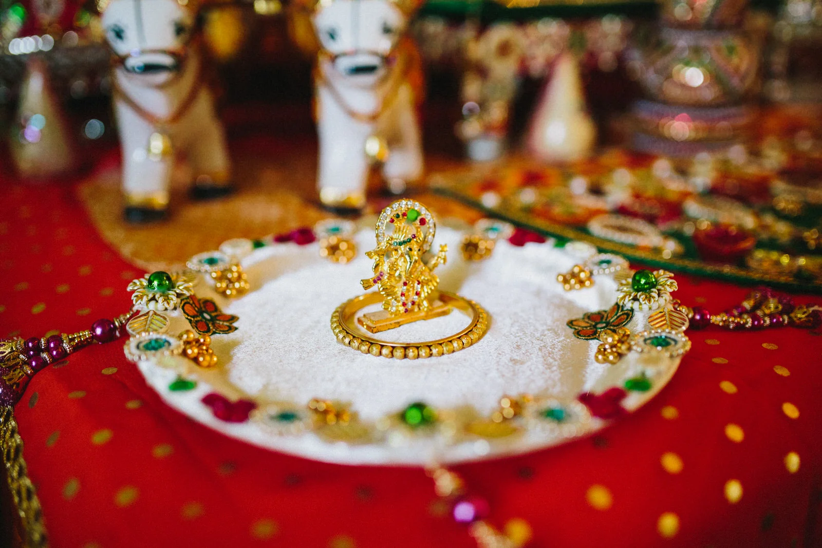 Portland Oregon Wedding Photography Indian wedding Illinois0021 .JPG
