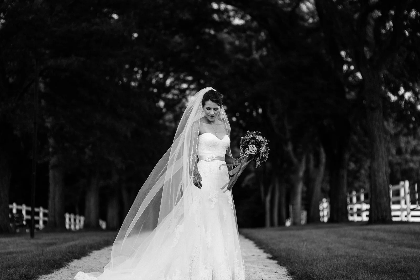 Portland Oregon Wedding Photography Indian wedding Illinois0144 .JPG