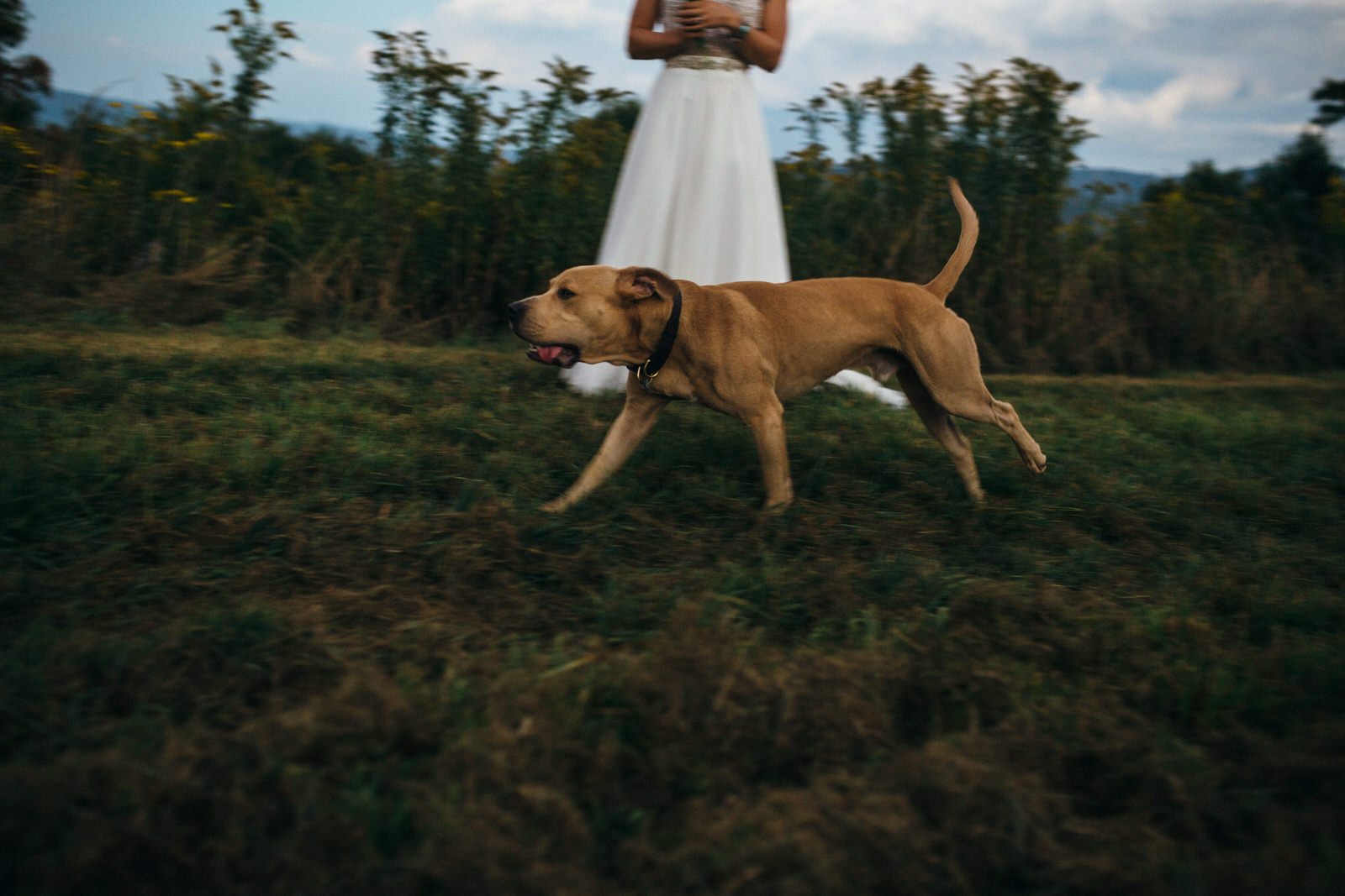 Portland Seattle North Carolina Overlook Barn destination wedding photographer0166.JPG