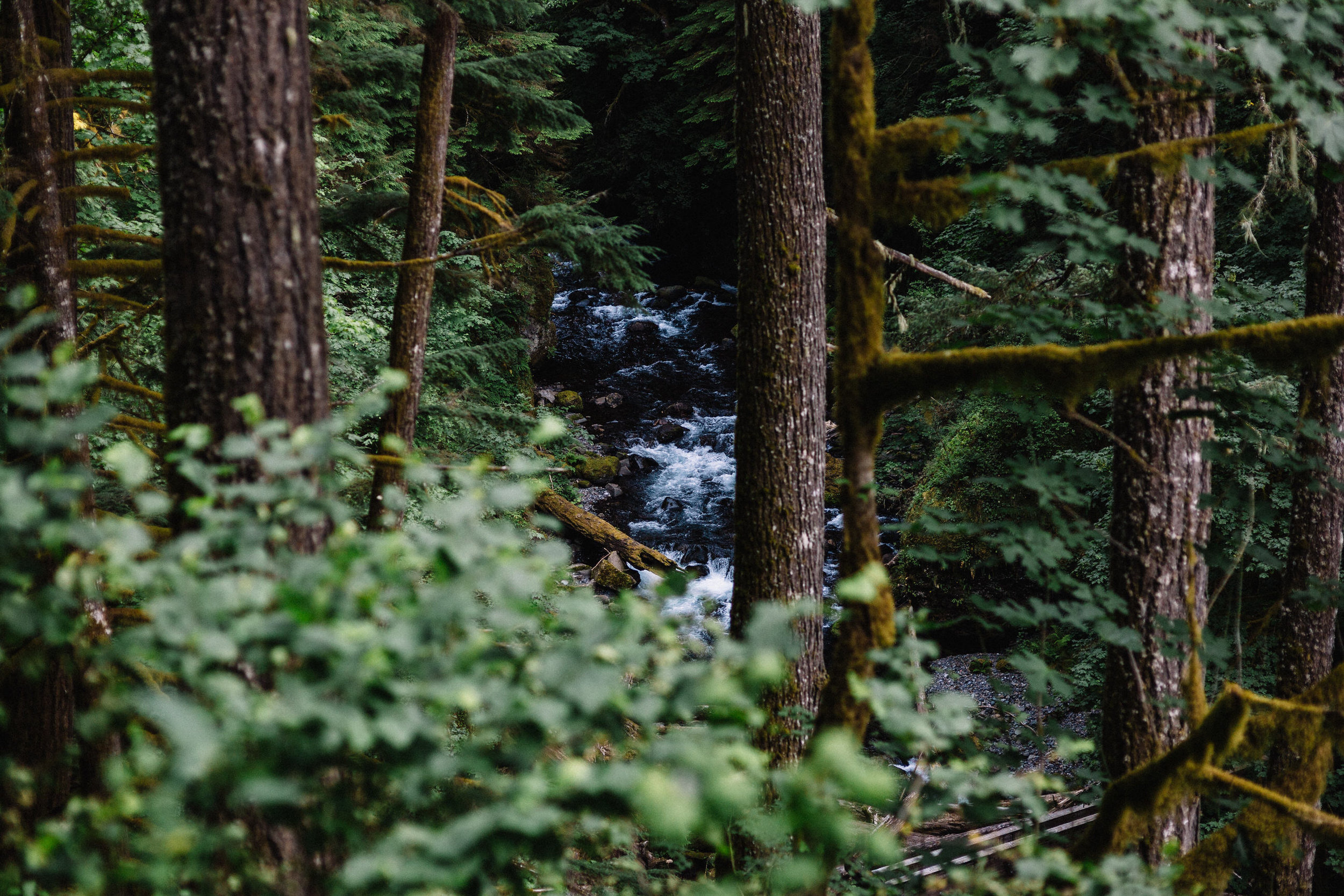 Wahclella falls portland oregon engagement photographer000.JPG