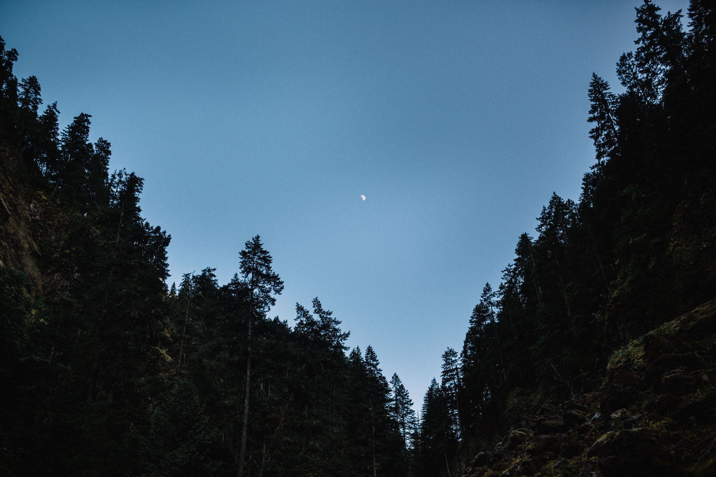 Wahclella falls portland oregon engagement photographer003.JPG