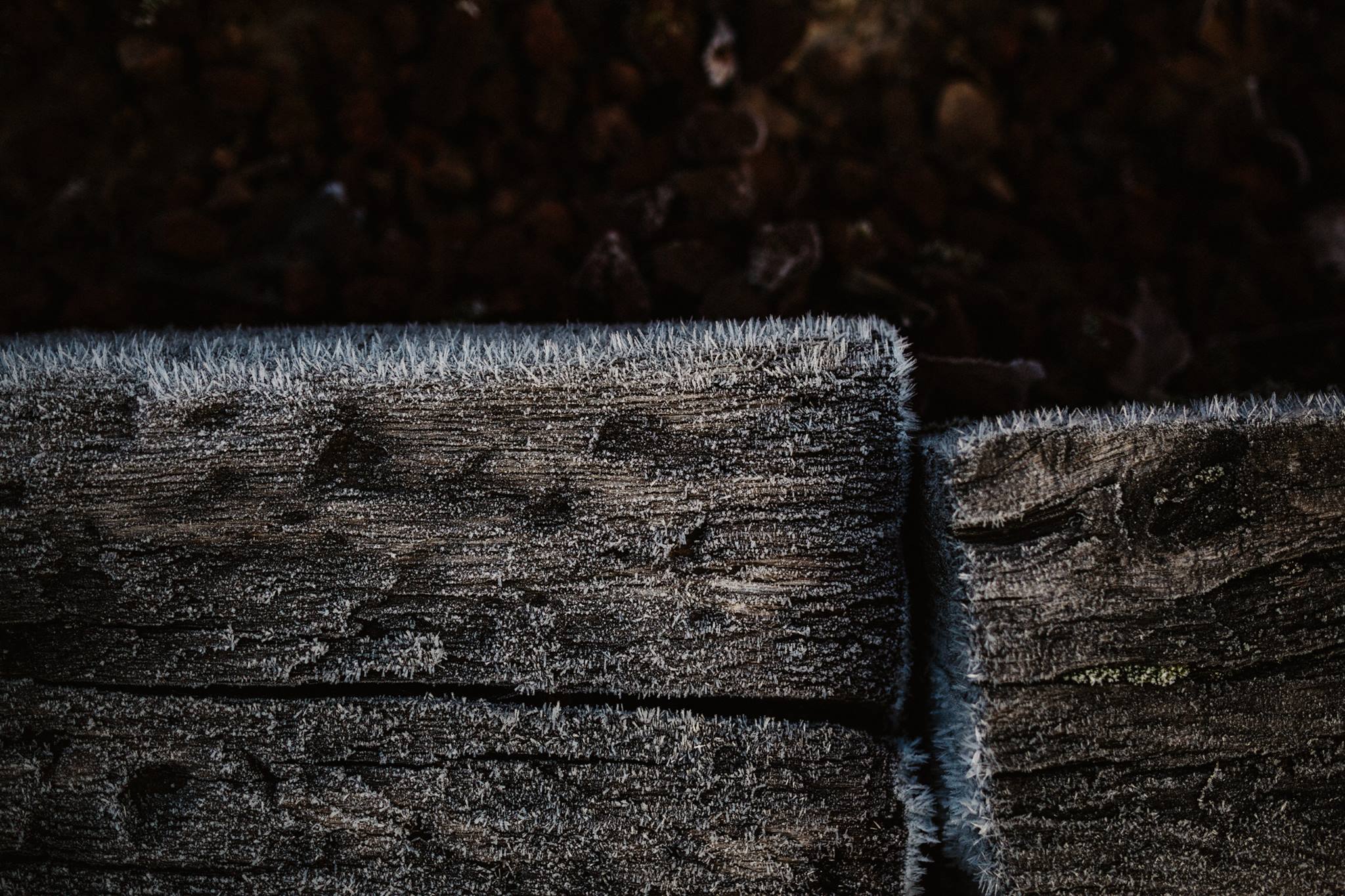 portland frost.jpg