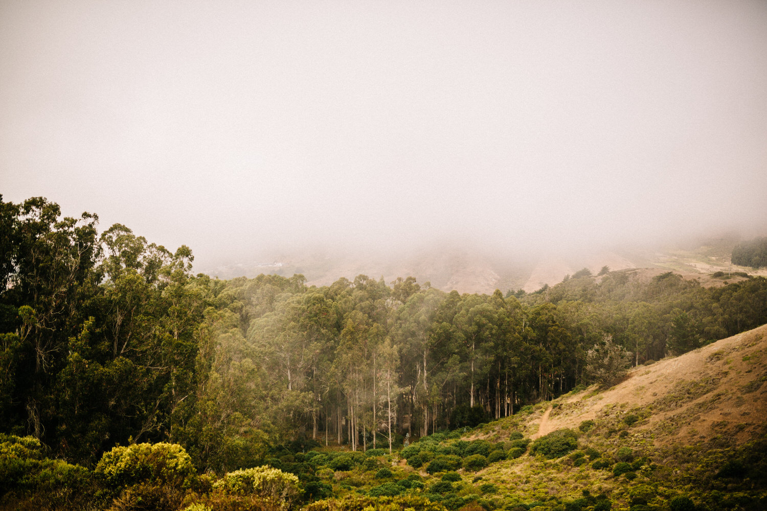 San Francisco Marin Headlands 2.jpg