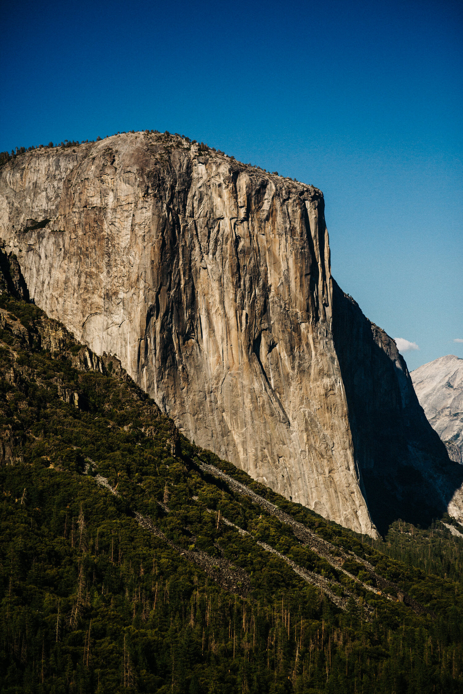 Yosemite 0094.jpg