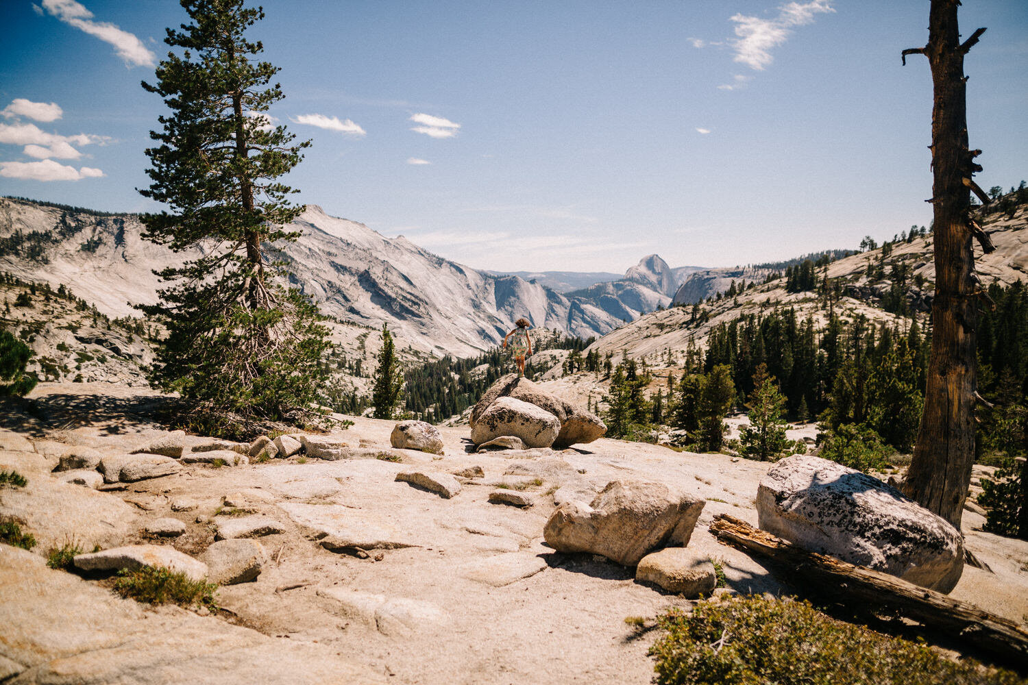 Yosemite 0146.jpg