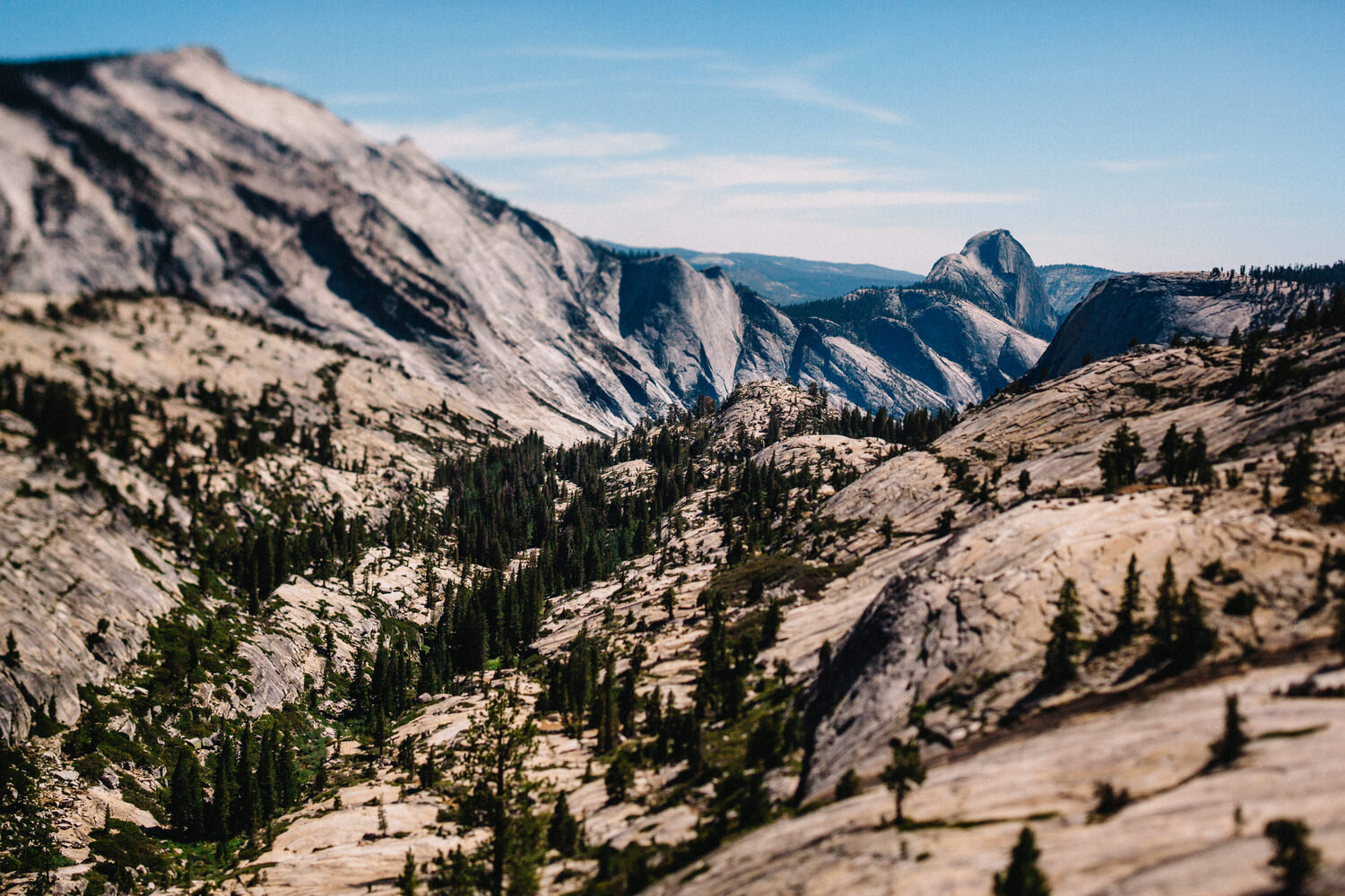 Yosemite 0164.jpg