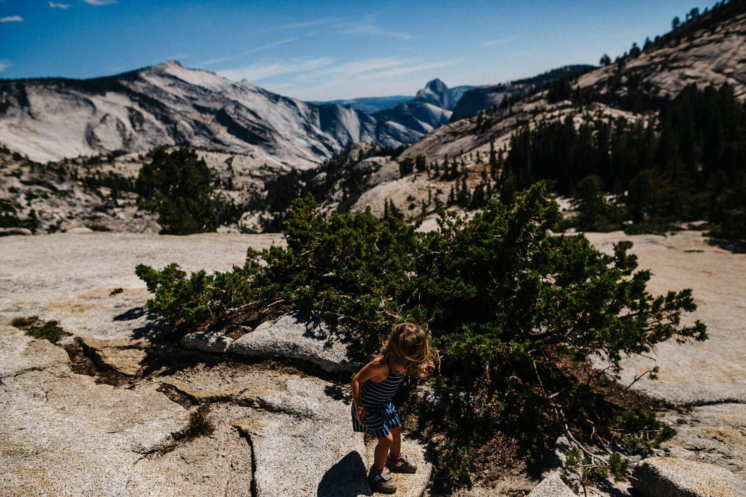 Yosemite 0178.jpg