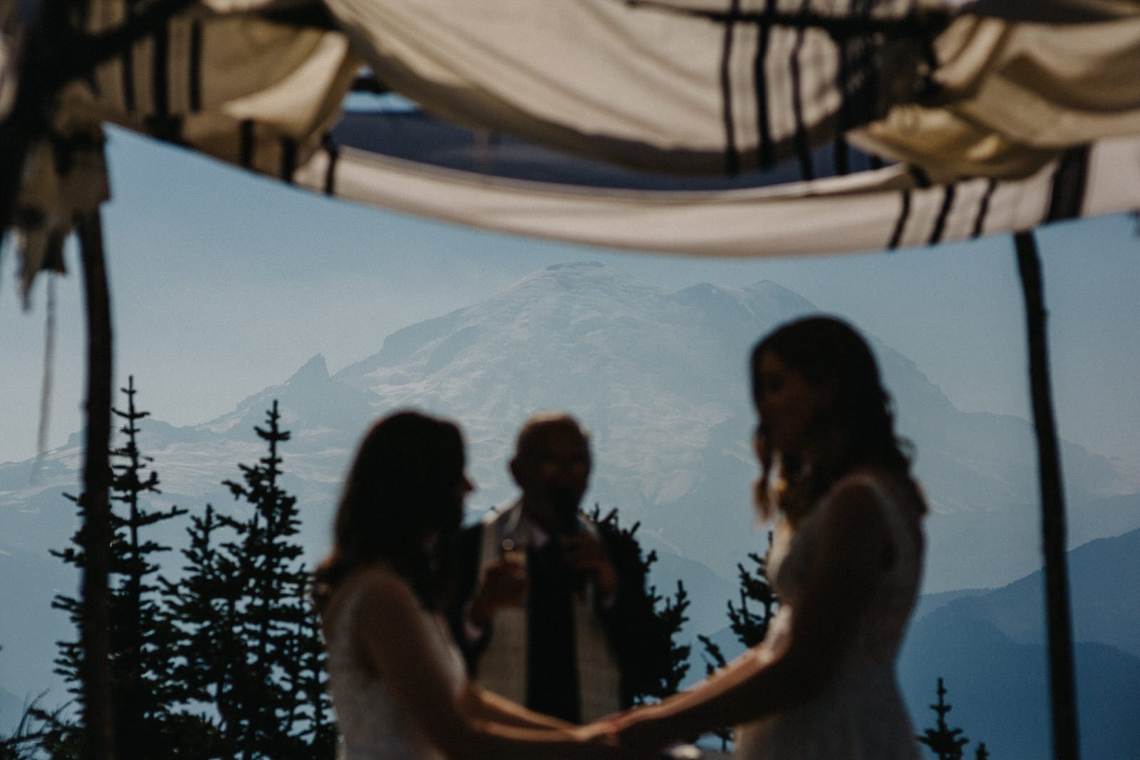 Mount Rainier wedding photographer.JPG