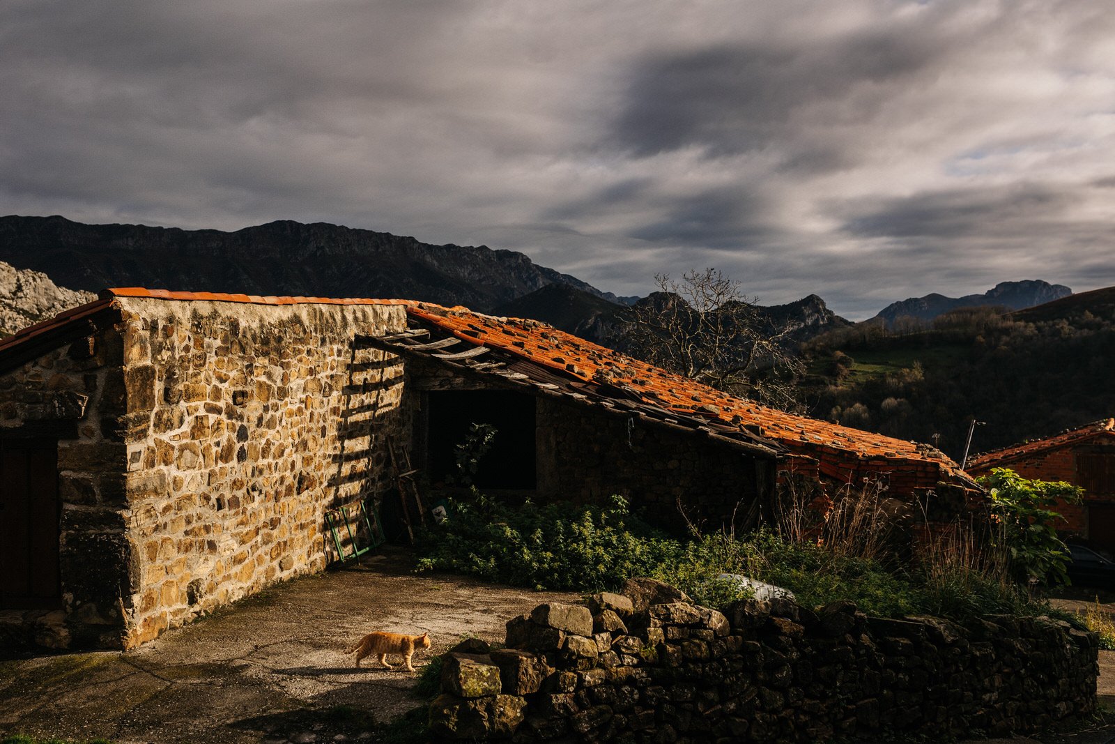 Asturias Spain travel photographer005.JPG