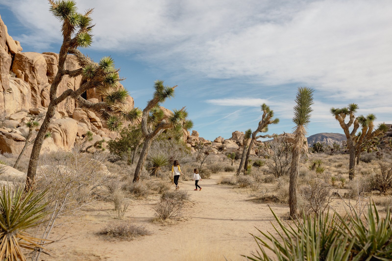 Joshua Tree National Park photographer024.JPG