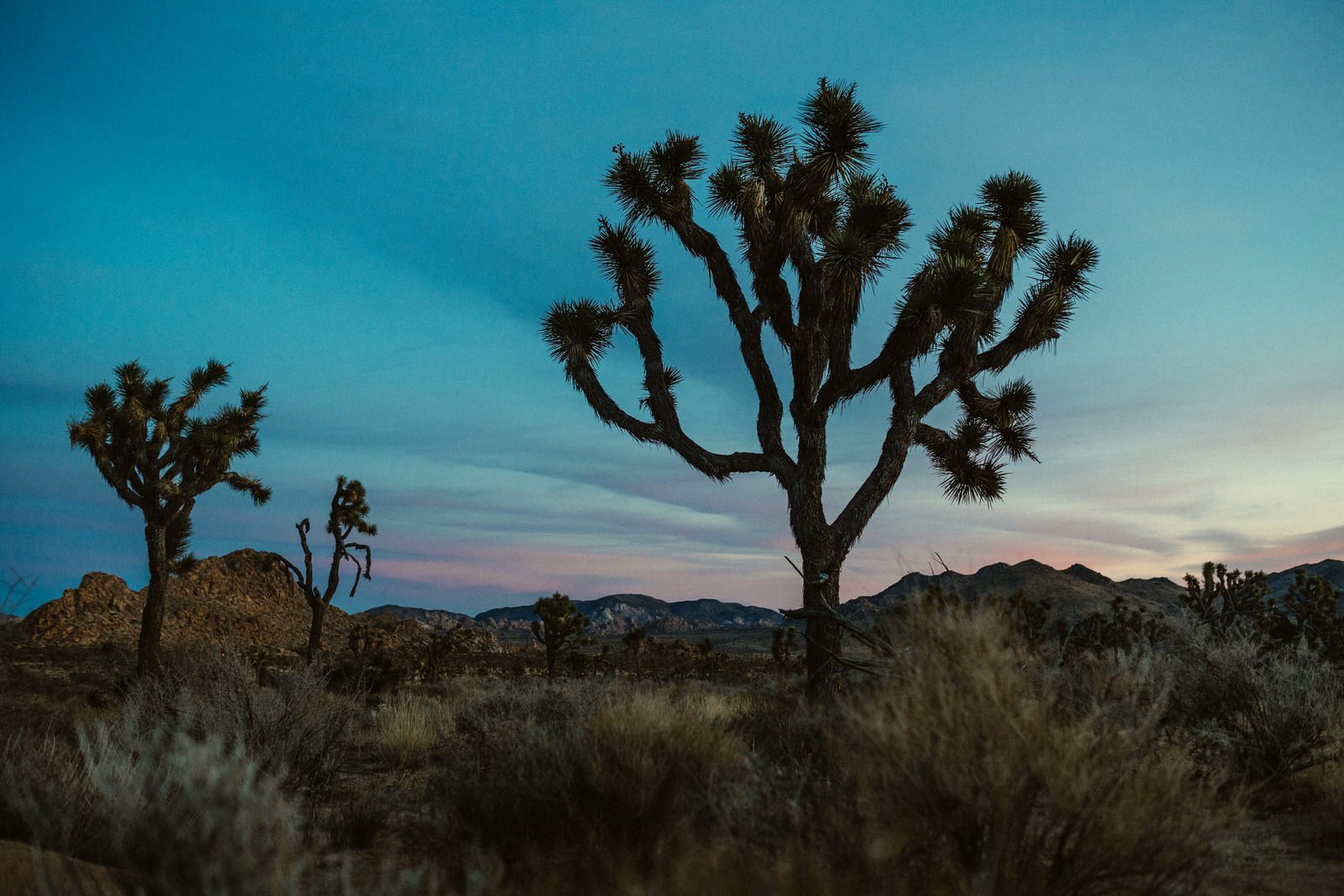 Joshua Tree National Park photographer027.JPG