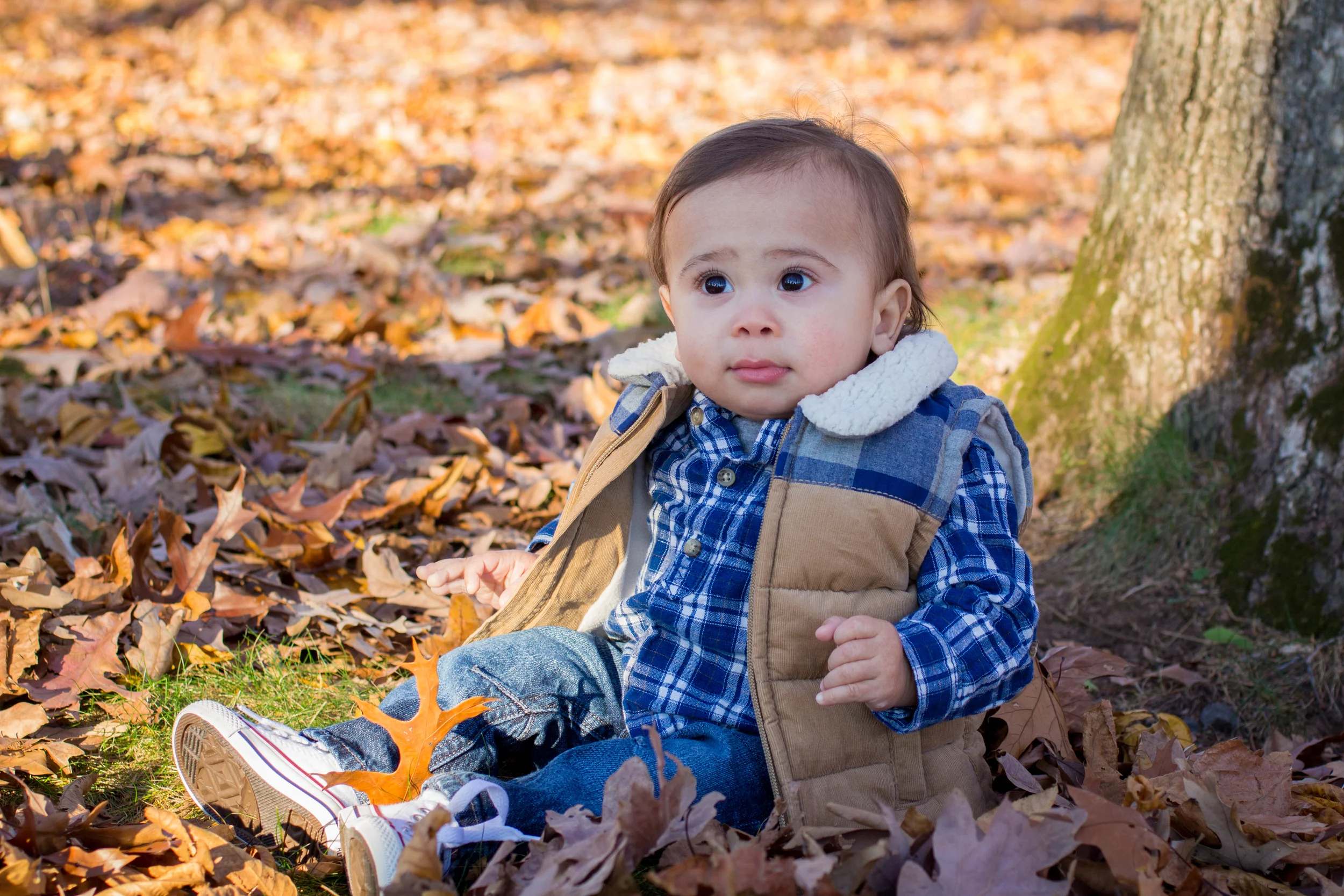 Grayson-8247.jpg
