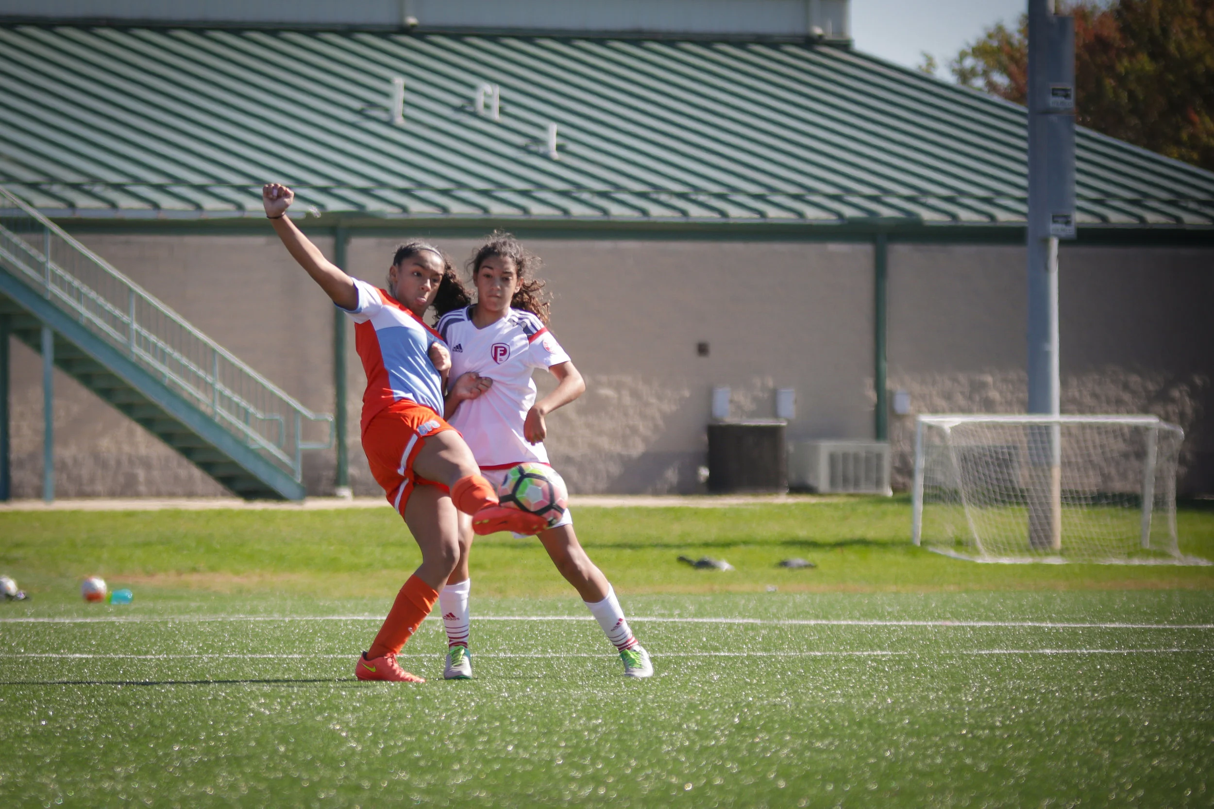 PFvCFC-9813.jpg