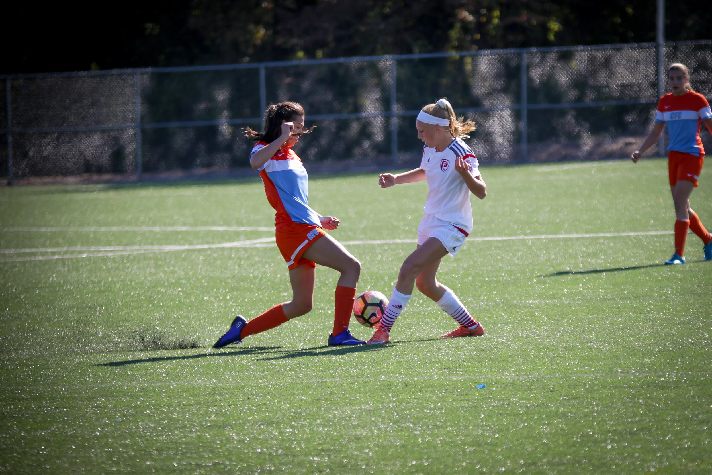 PFvCFC-9953.jpg