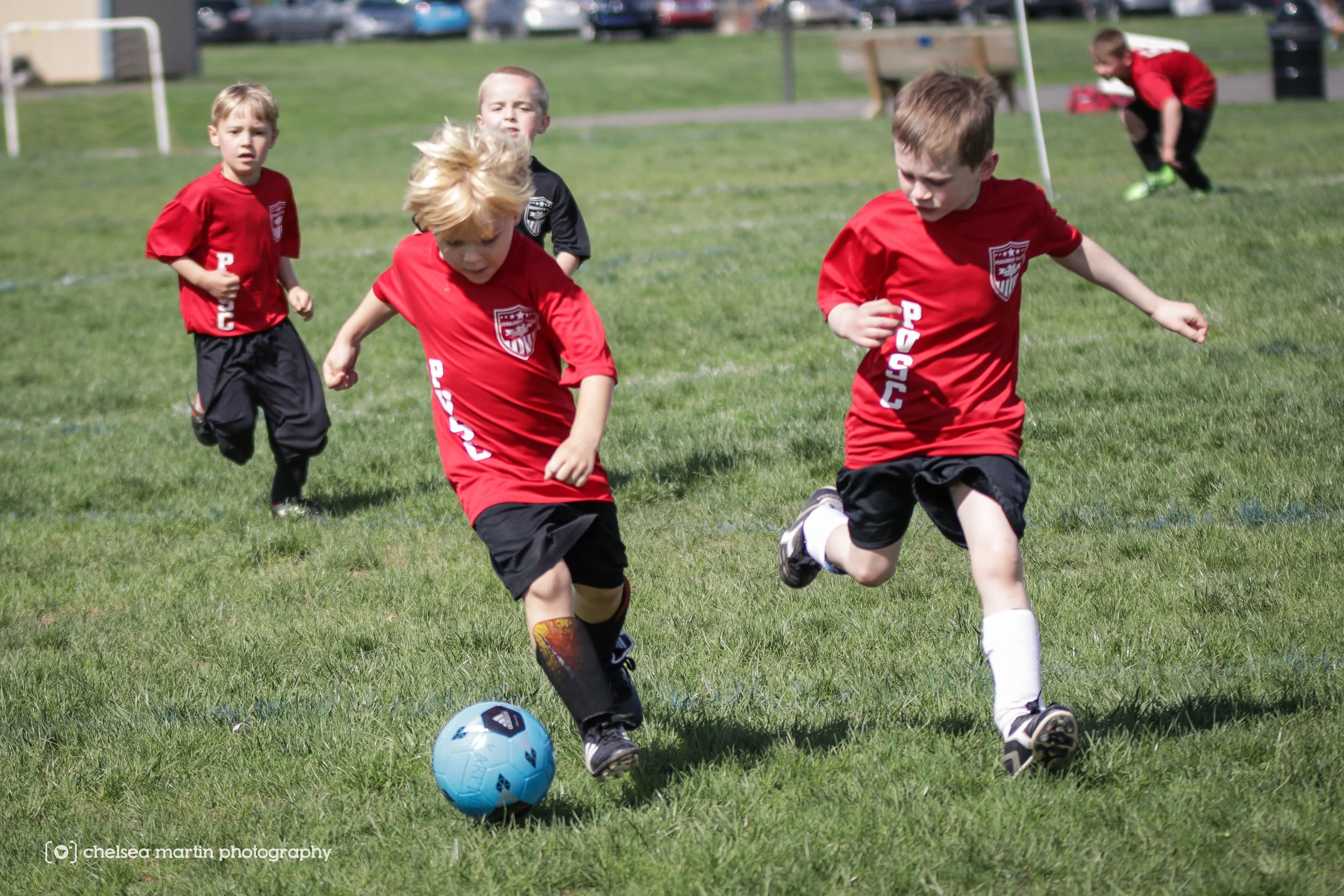 PVSC-9412.jpg