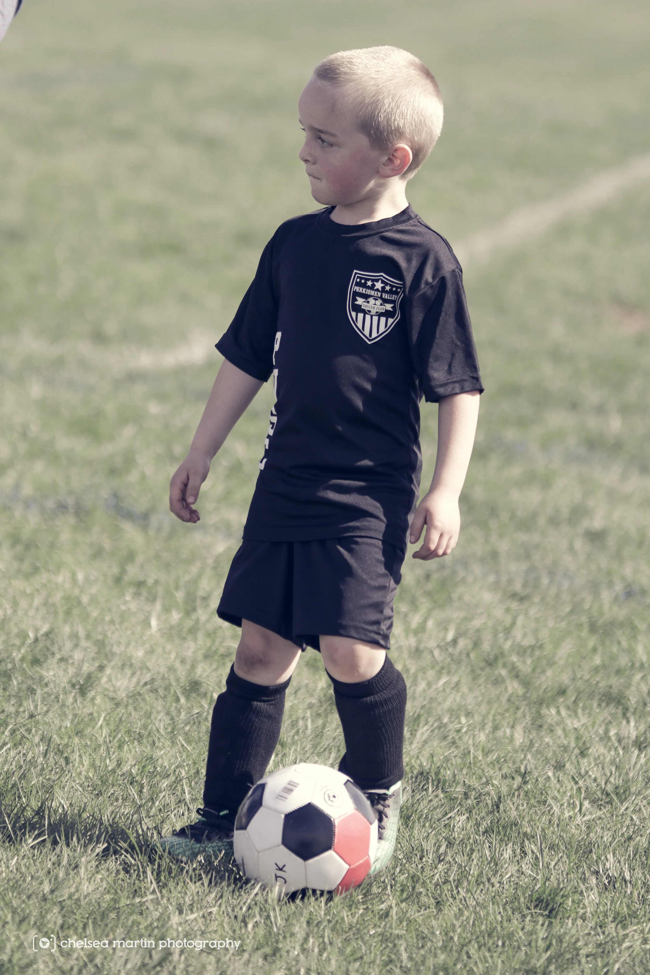 PVSC-9529.jpg