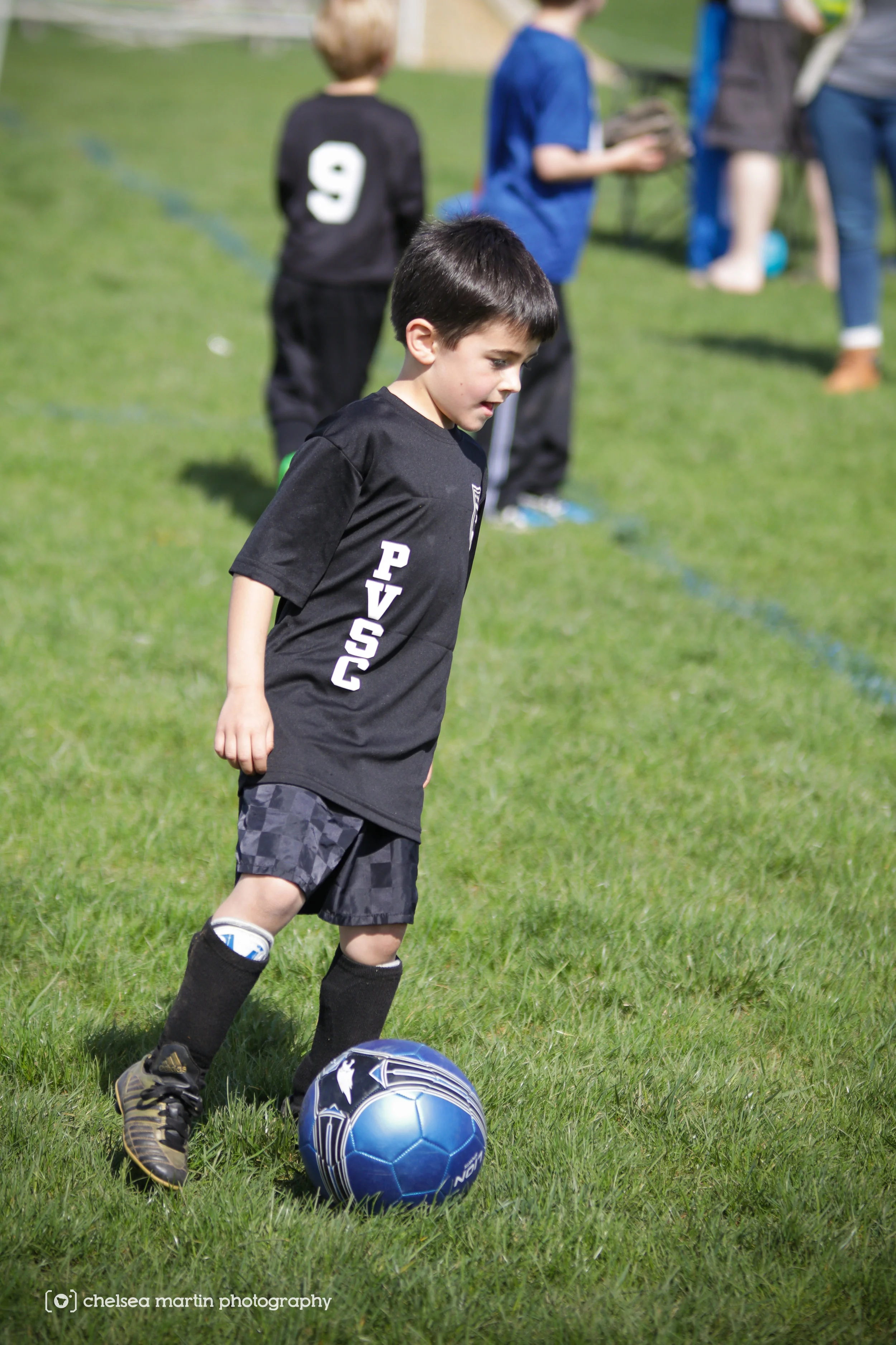 PVSC-9533.jpg