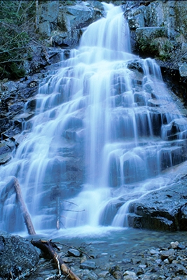 Chanel Waterfall.jpg