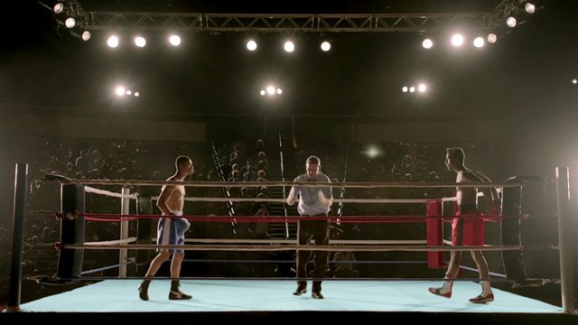 Cipla Entiro "Boxer"