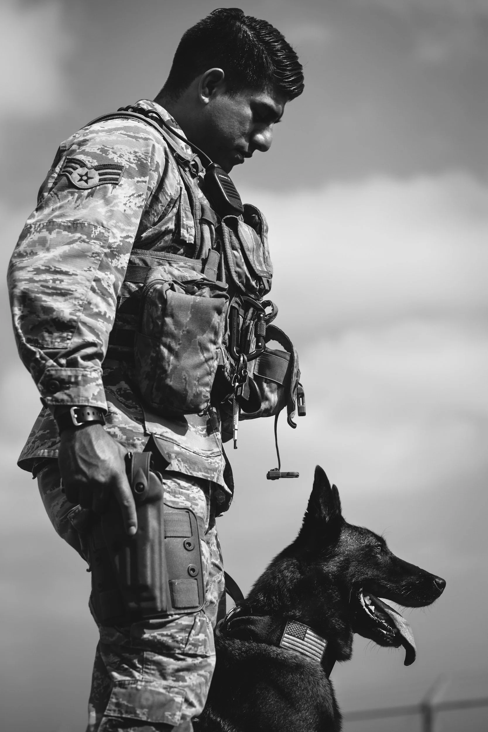 K9 Veterans Day Activation Honors Military Dogs