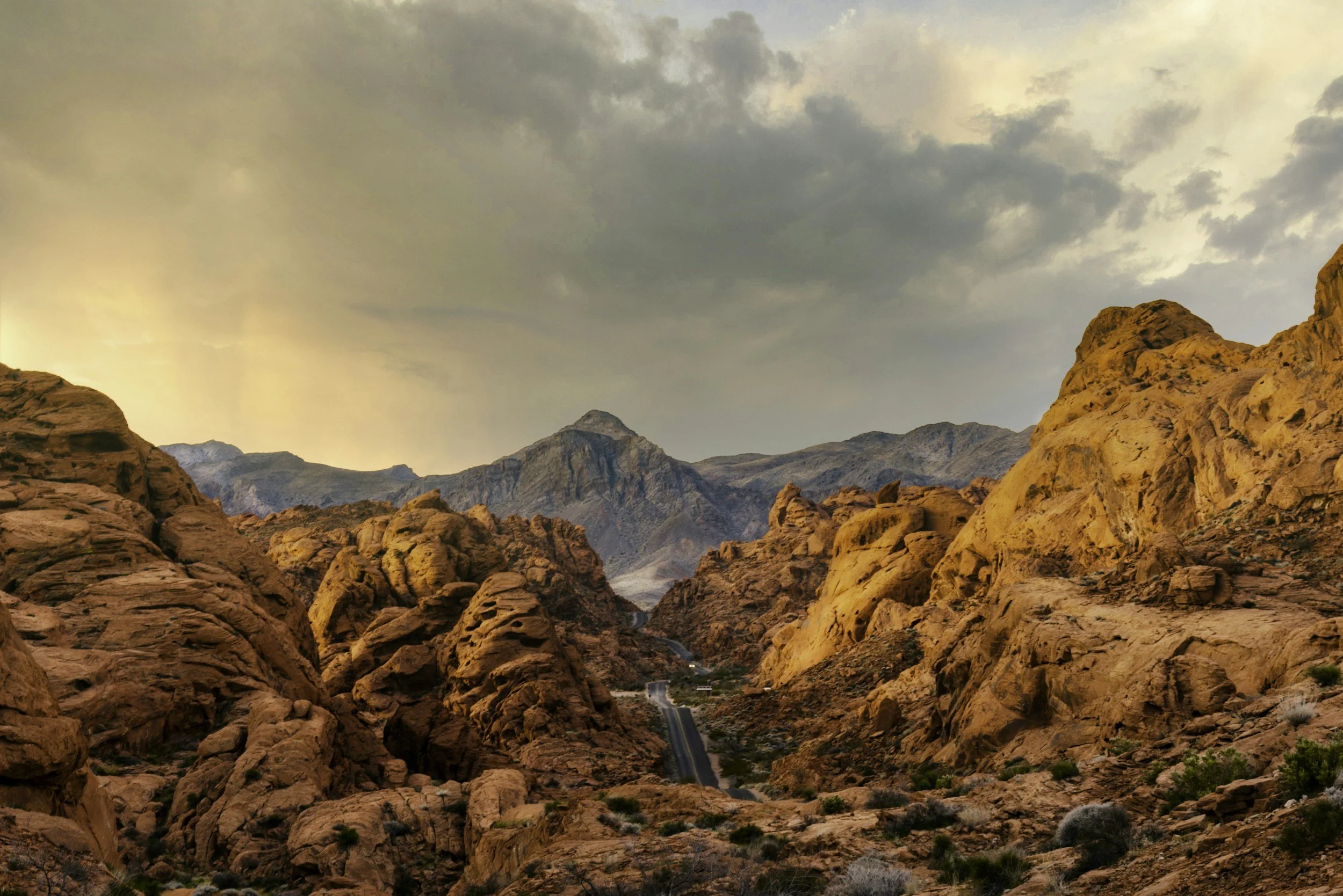 Scientists Building Massive Deep Synoptic Array in Nevada Desert