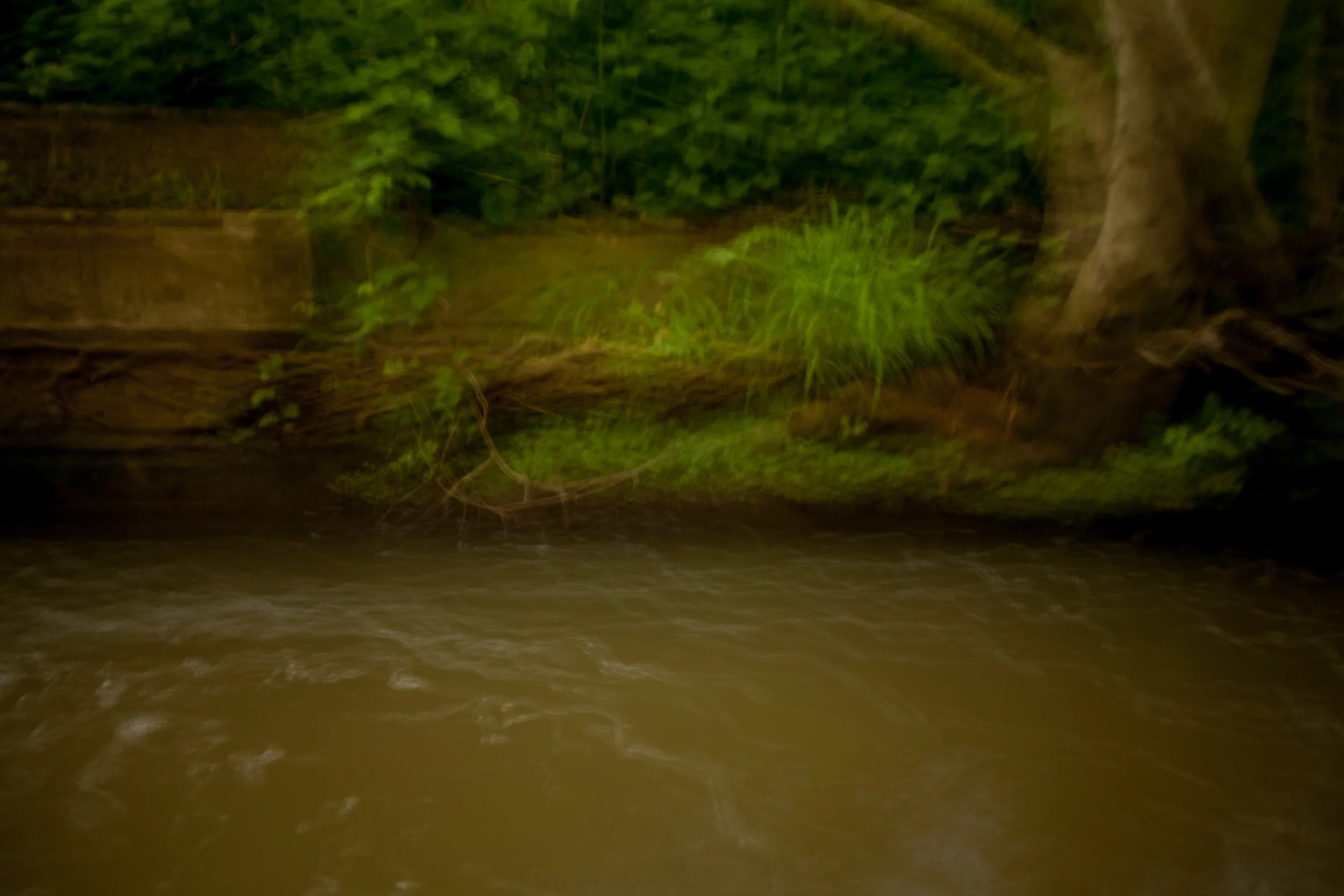 Poss-4363.jpg