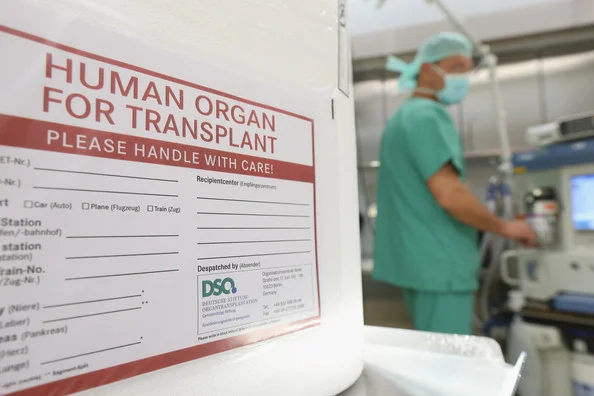 Human Organ for Transplant 2_C.F.-05.20.13.jpg