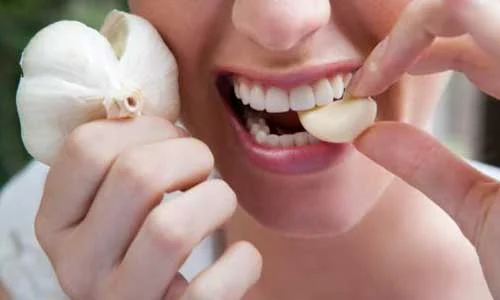 garlic and ginger_C.F.-05.27.13.jpg