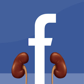 GET YOUR FREE REPORT ON HOW TO IMPROVE YOUR FIND A KIDNEY PAGE TODAY! CLICK HERE.