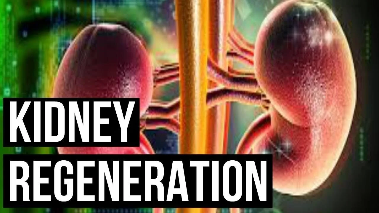 Chronic Kidney Disease Information, Dialysis Tips