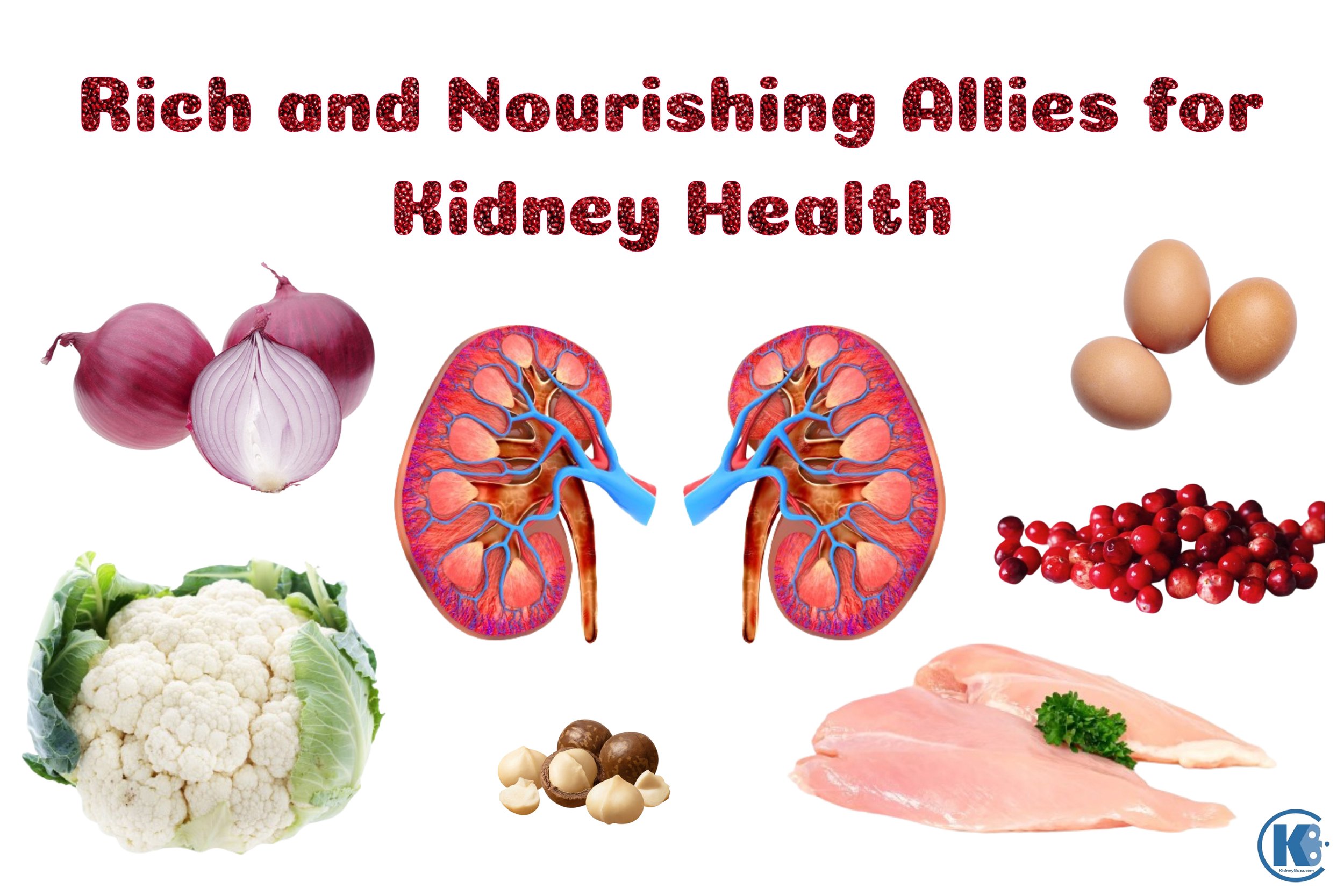 Rich and Nourishing Allies for Kidney Health