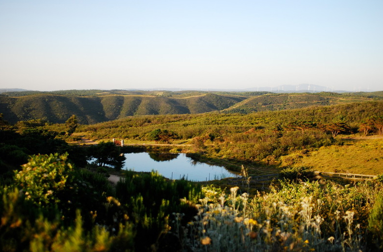 Das Atlantik ANUSARA Yoga Retreat in Portugal-