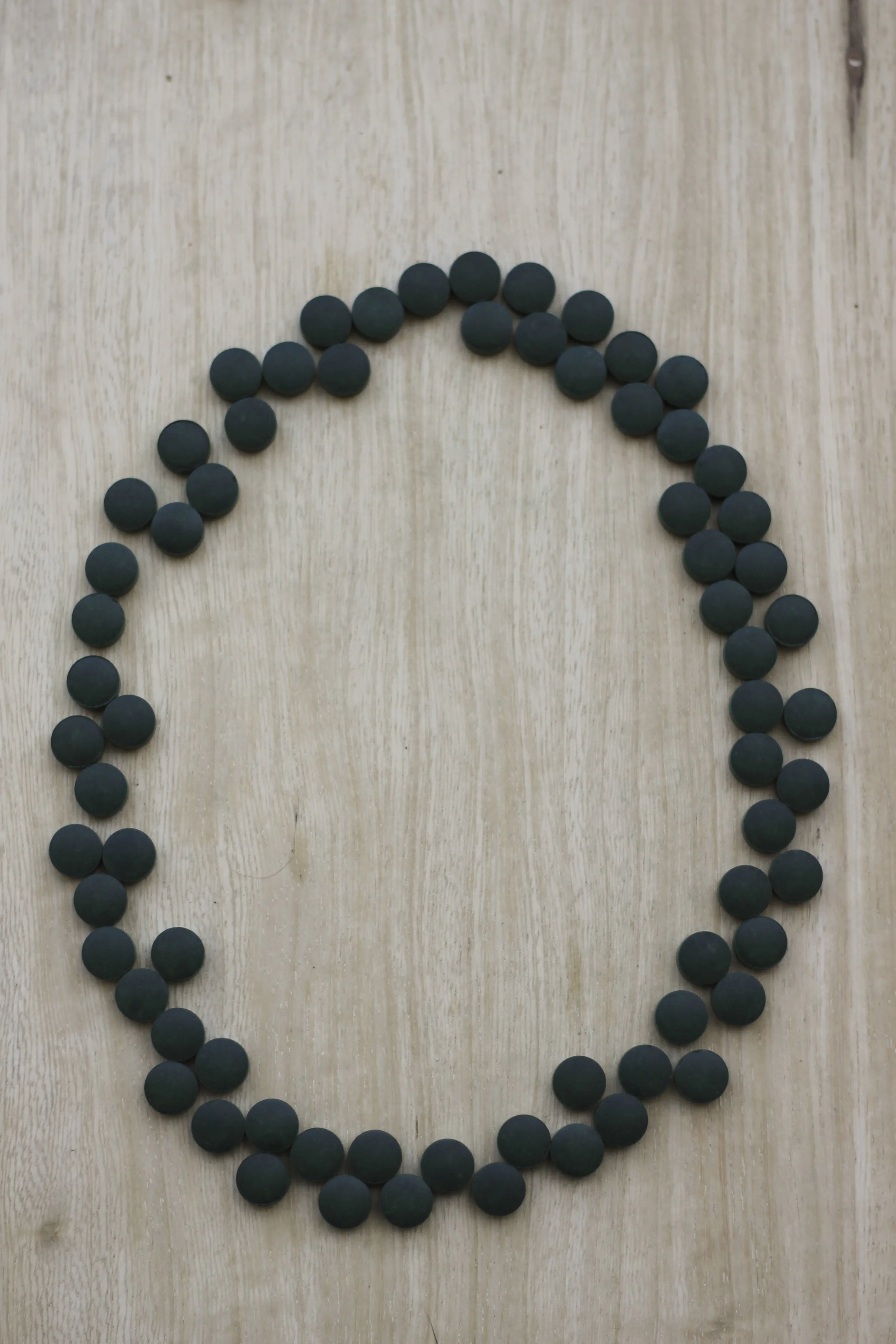 spirulina673.jpg