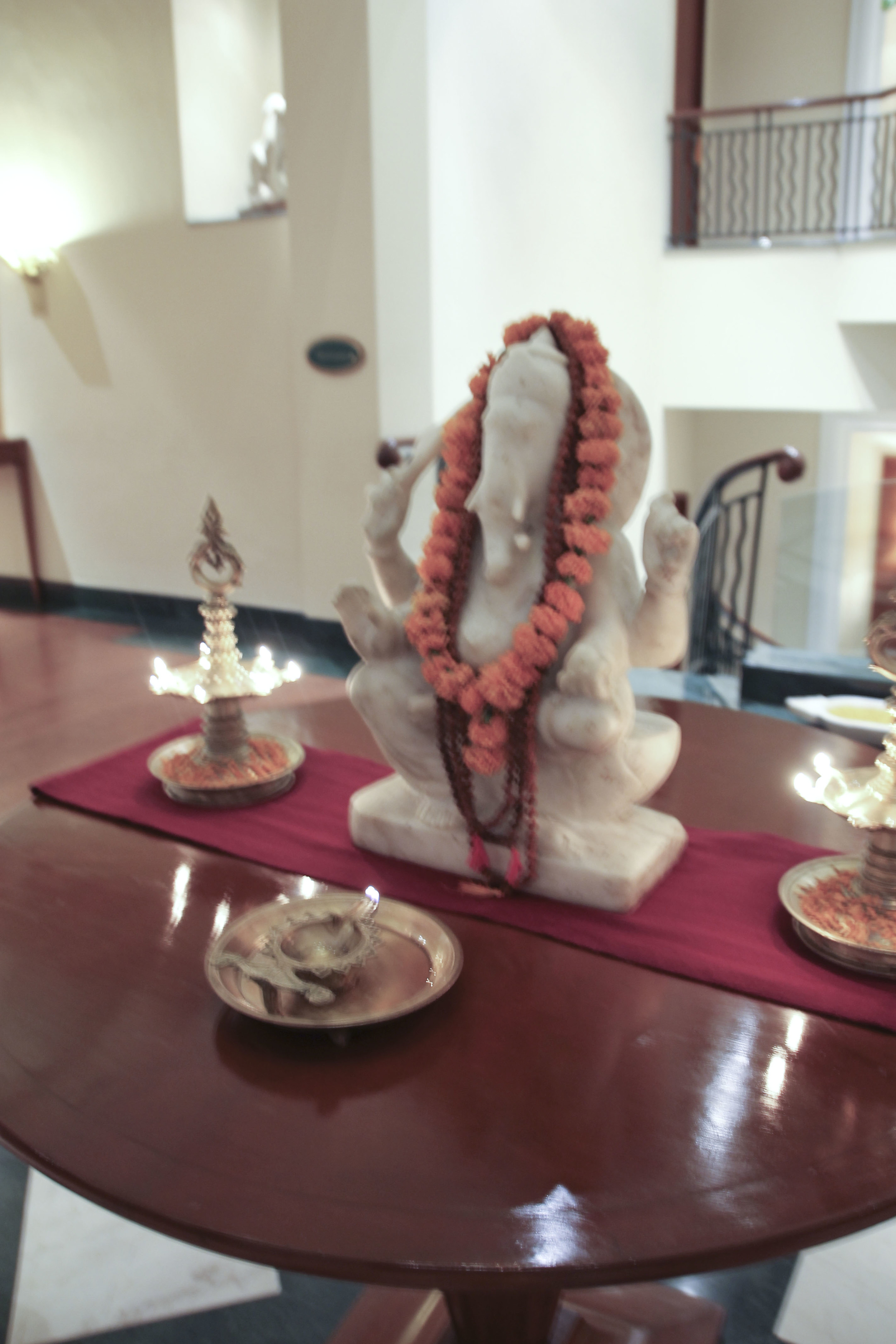 anandaspa himalayas india ayurveda1614.jpg