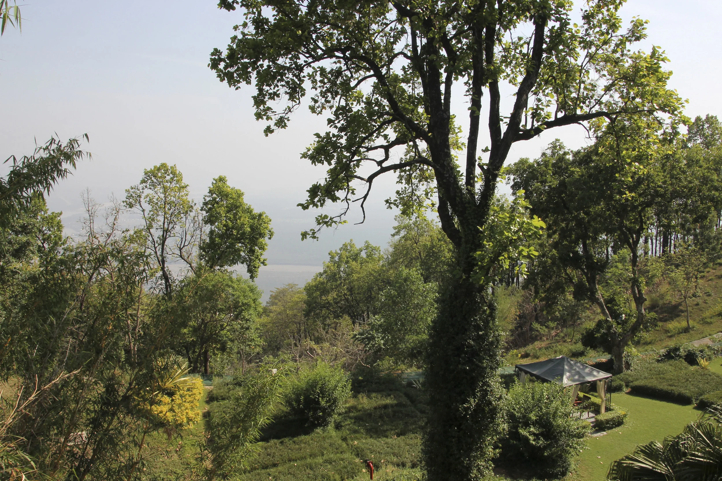 anandaspa himalayas india ayurveda1623.jpg