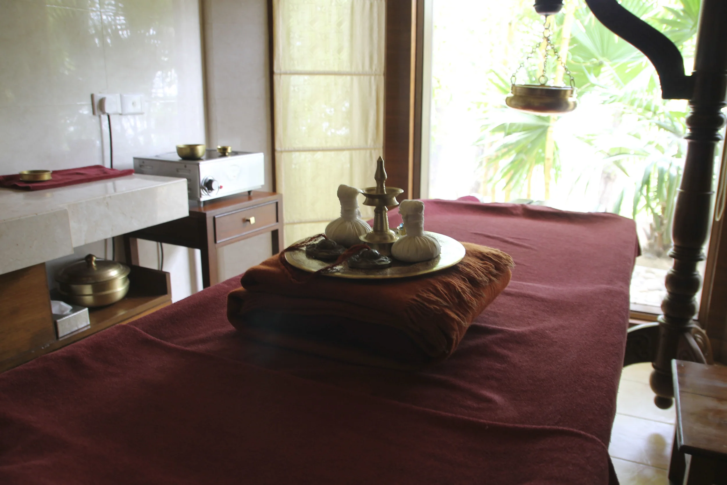 anandaspa himalayas india ayurveda1677.jpg