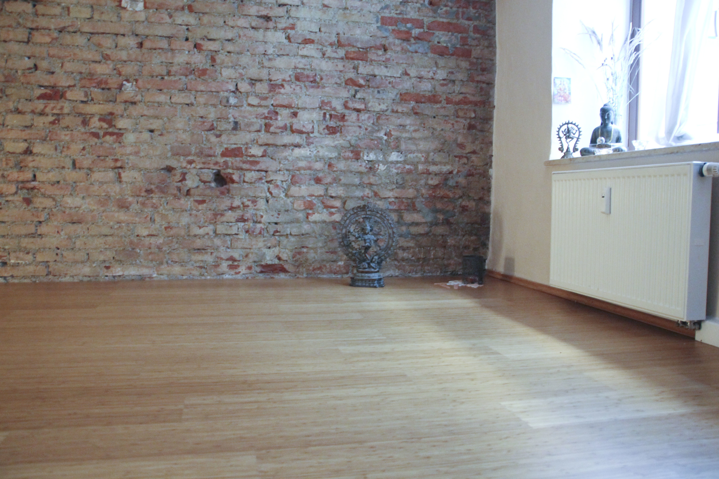 Jaya Yoga Studio Lena Kleiner1919.jpg