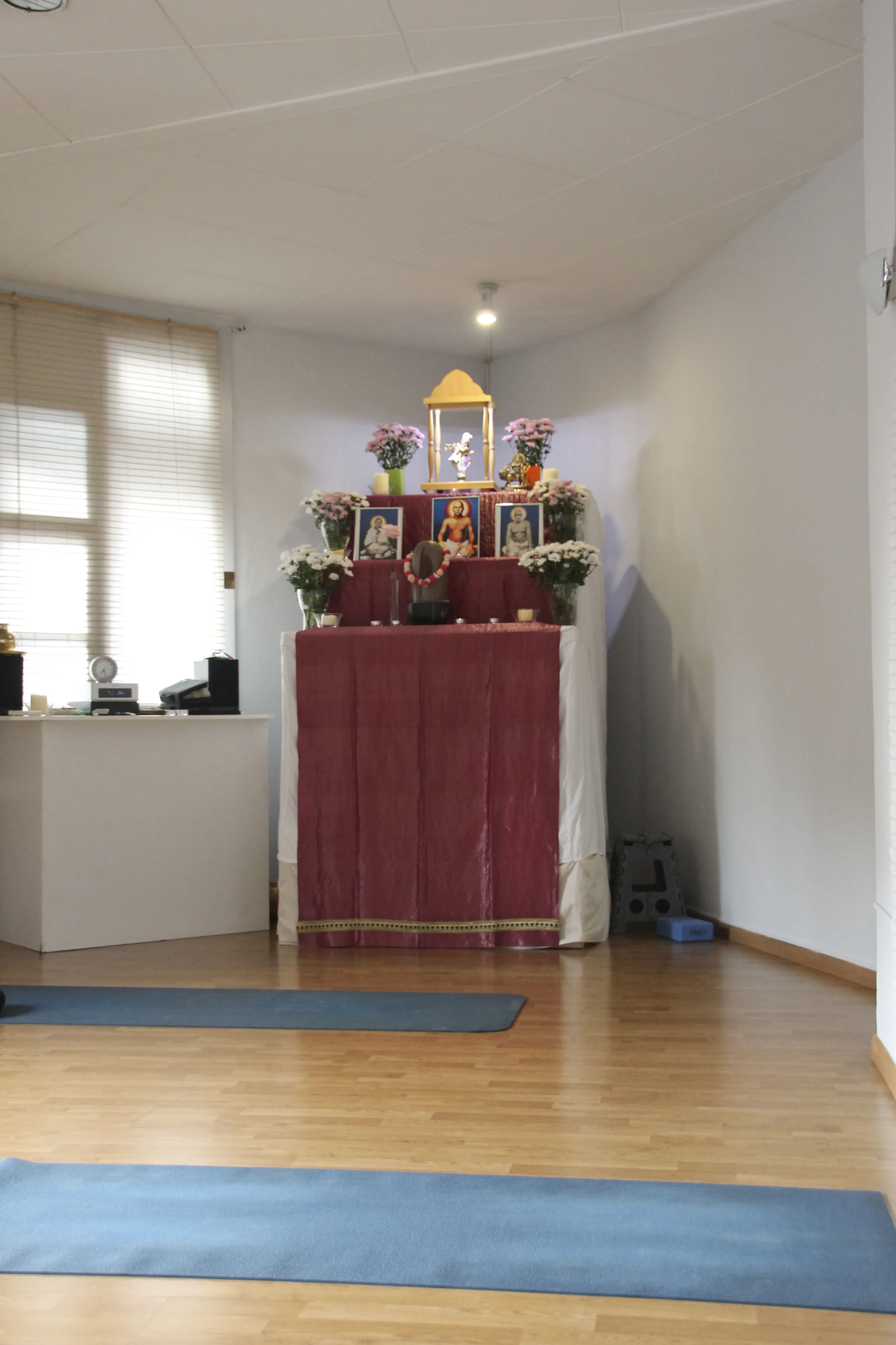 yoga mandir satyam yoga  yoga studio barcelona2078.jpg