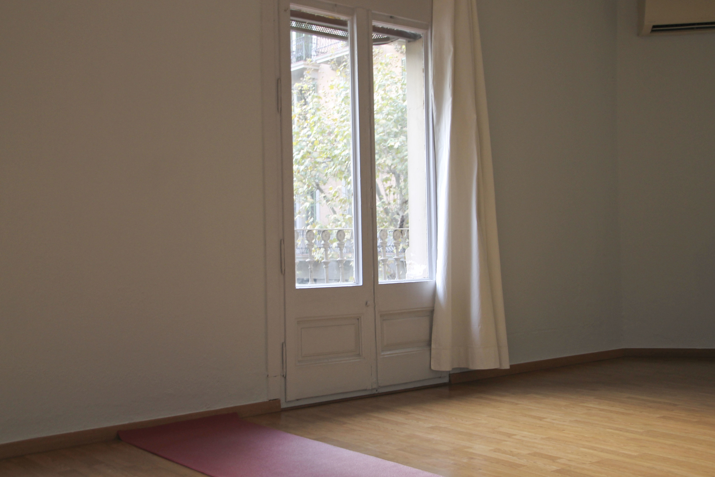 yoga mandir satyam yoga  yoga studio barcelona2079.jpg
