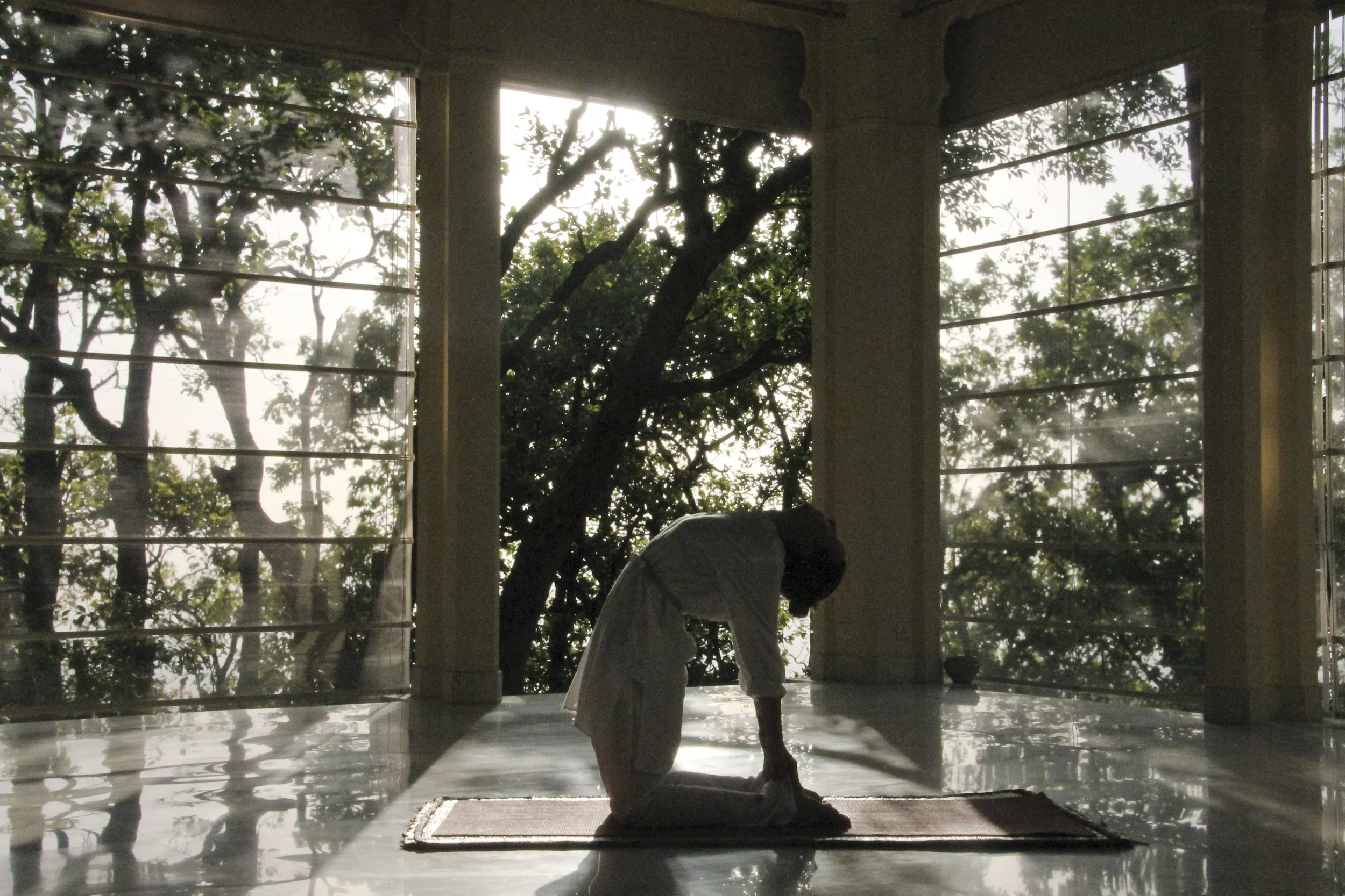 ananda spa himalayas india1606.jpg