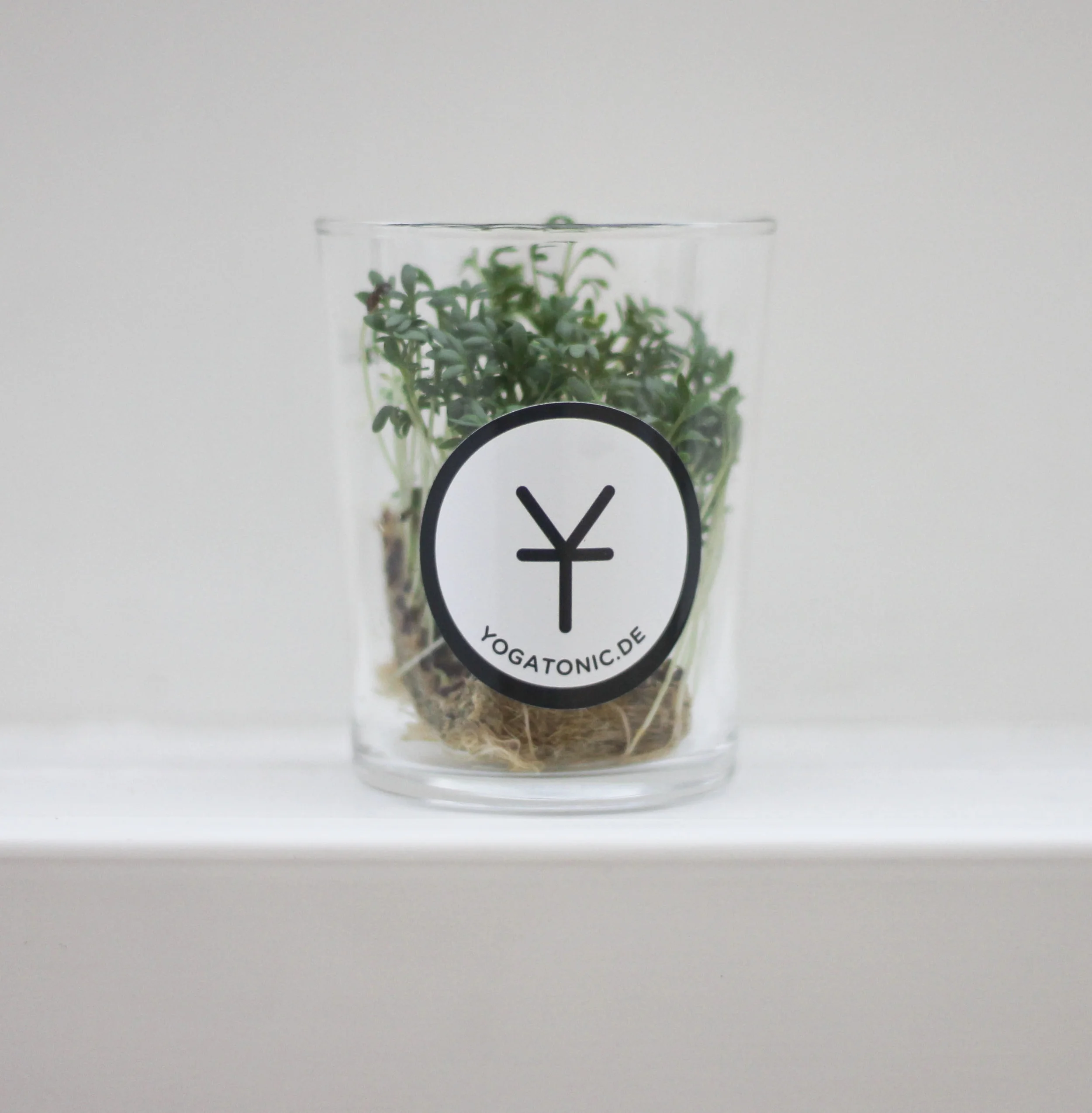 superfood column kolumne kresse1376.jpg