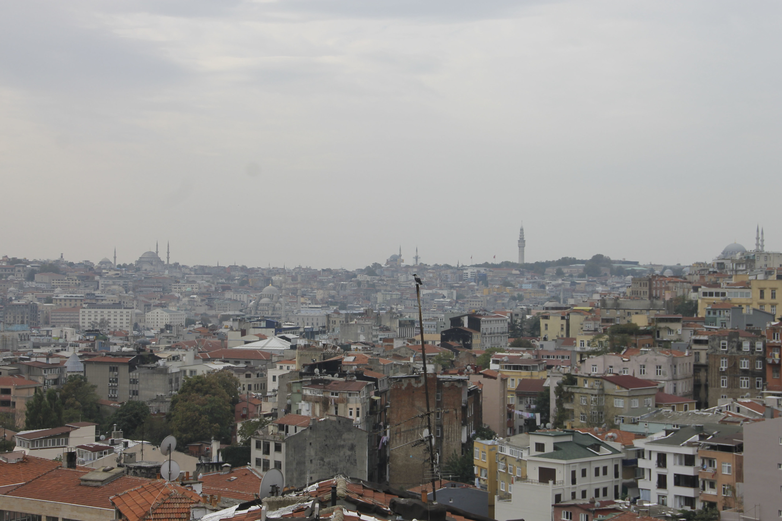 Istanbul, ygatonic on tour, Turkey yoga in istanbul2223.jpg