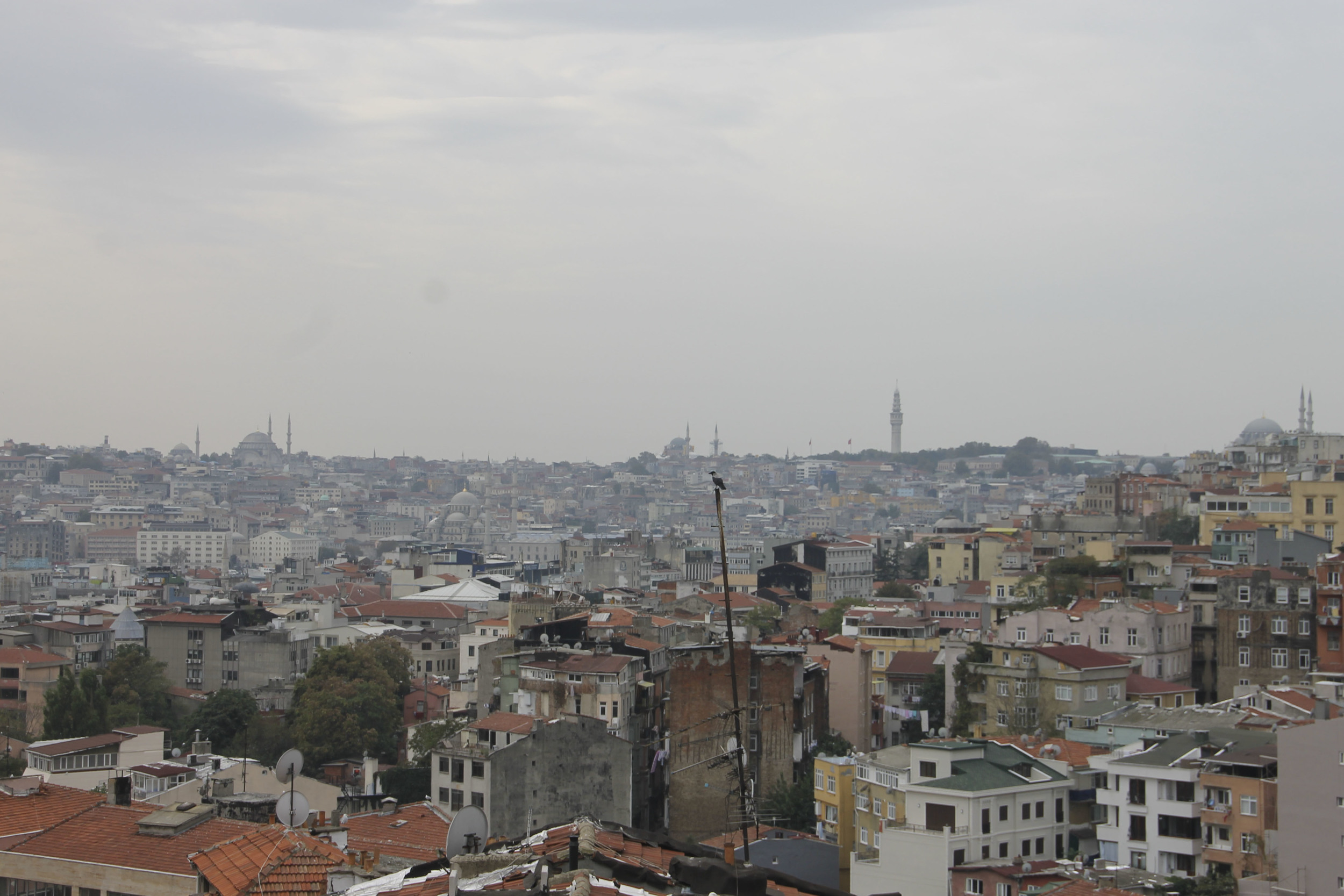 Istanbul, ygatonic on tour, Turkey yoga in istanbul2223.jpg