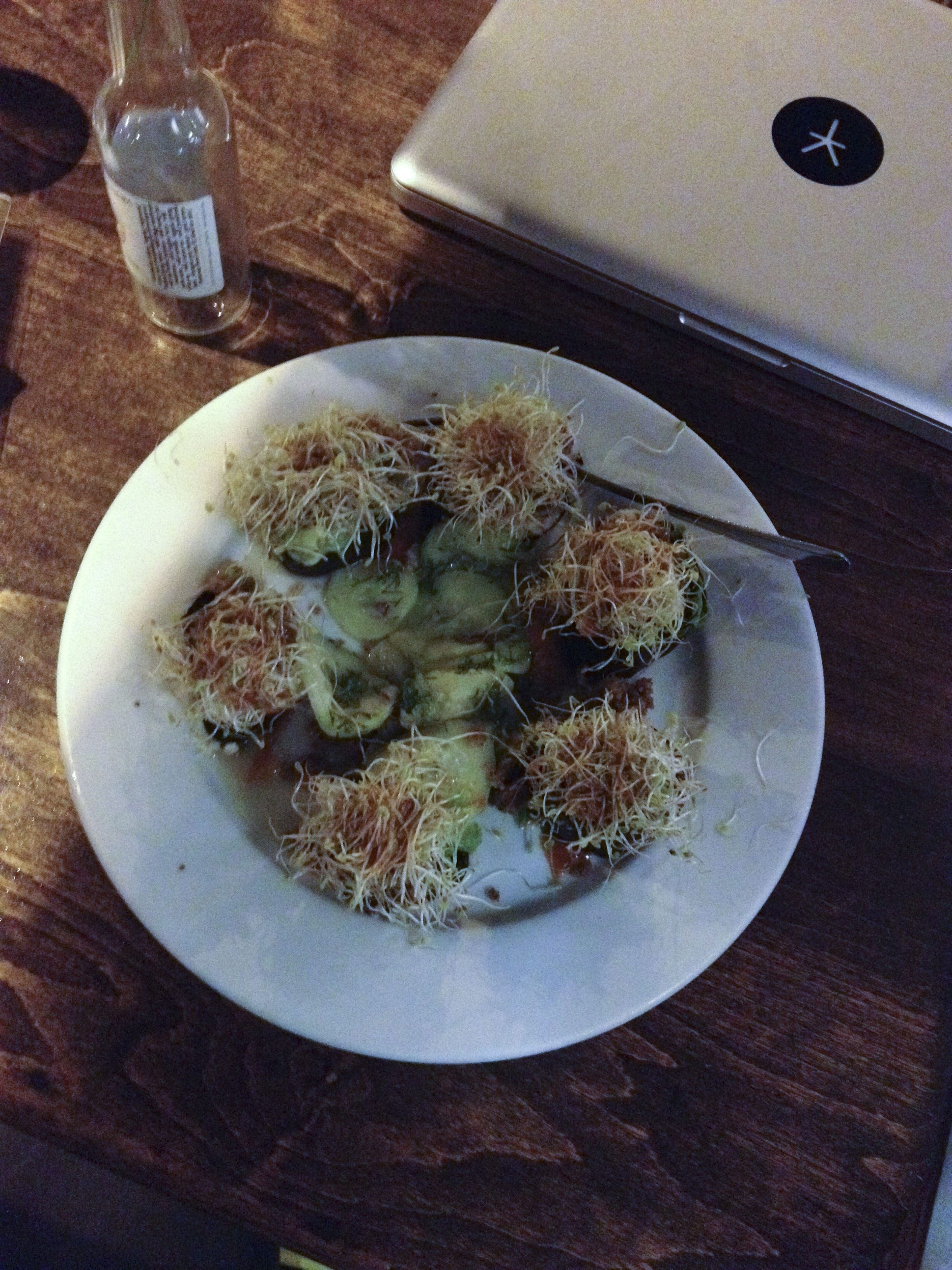 vegan food rawvolution venice los angeles USA2265.jpg