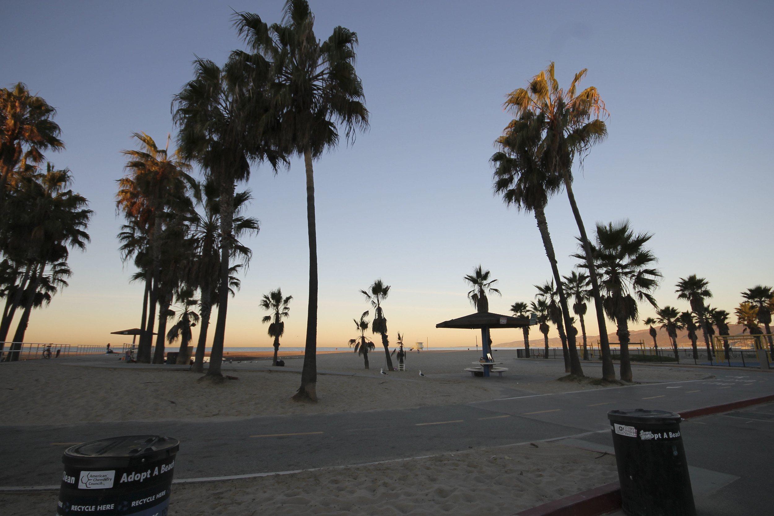 Venice beach california yogatonic on tour2329.jpg